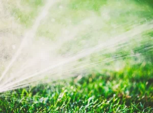 bear lake sprinkler installation