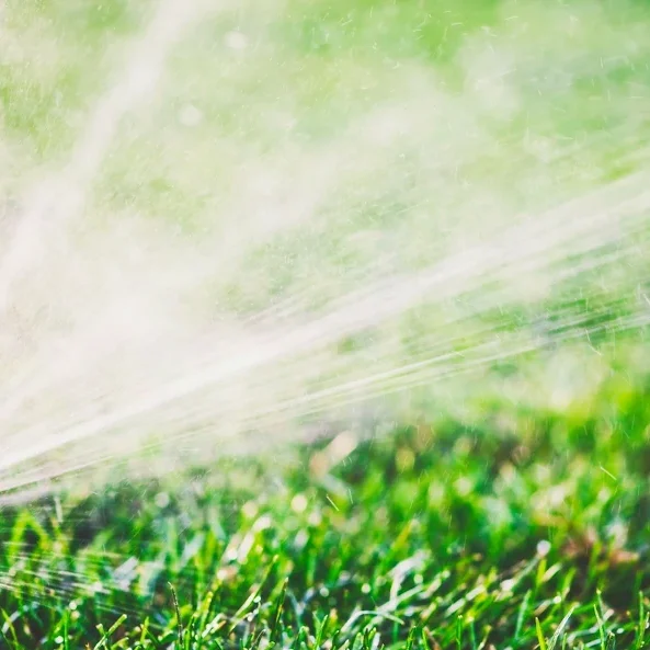 bear lake sprinkler installation